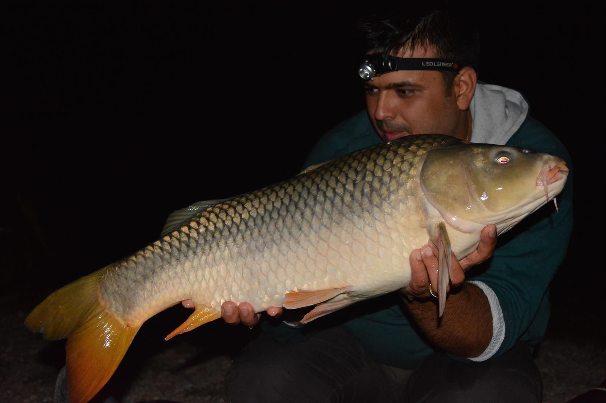 Hermes Peris 12 - 13 septembrie 2014 - 106857376115219456321391506678225o.jpg